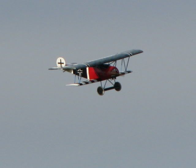 IMG_0976_1.jpg
