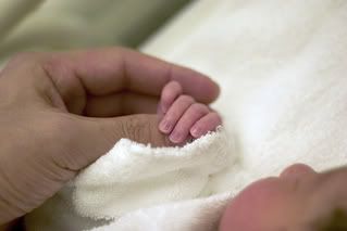1tiny_fingers_sm.jpg picture by nancerose