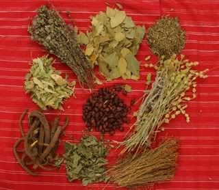 1herbs.jpg picture by nancerose