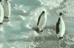 funny slap photo: slap 6aeb7bf478735cc79839dd65a2abc0a7.gif