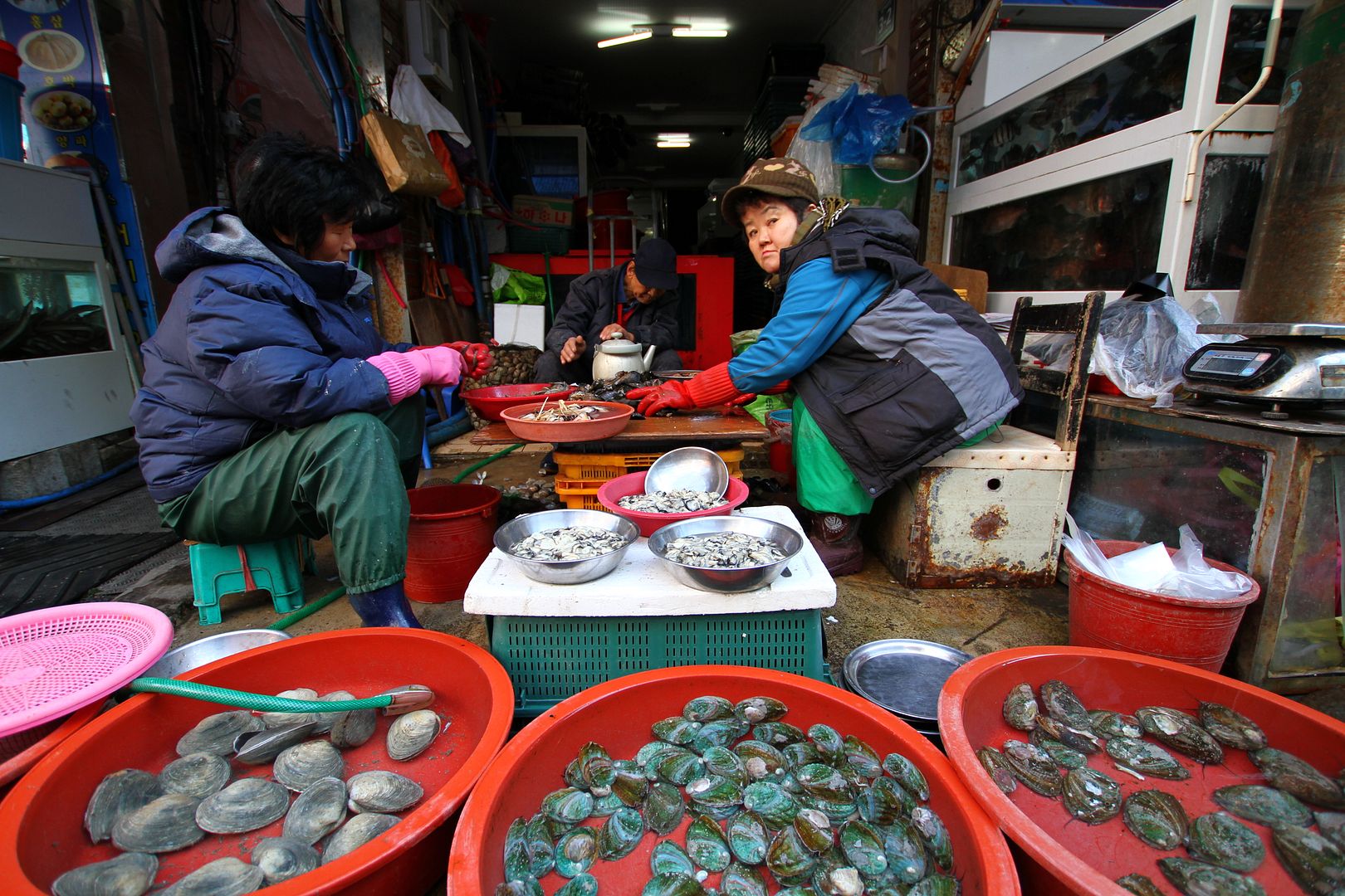 IMAGE: http://i282.photobucket.com/albums/kk279/Bearthedog_photos/Trips/Korea/IMG_9632.jpg