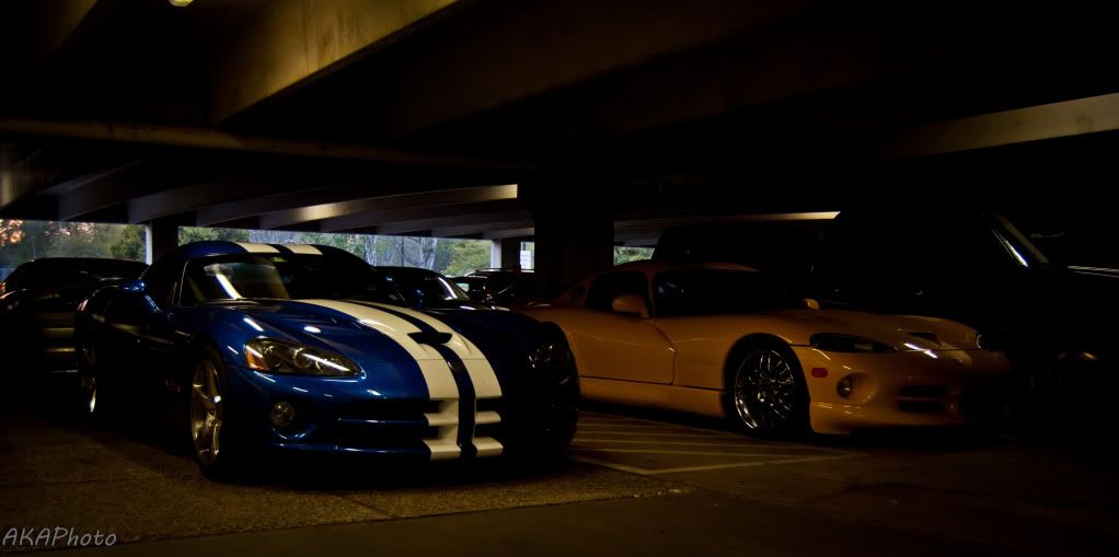 [Image: DSC_0902.jpg]