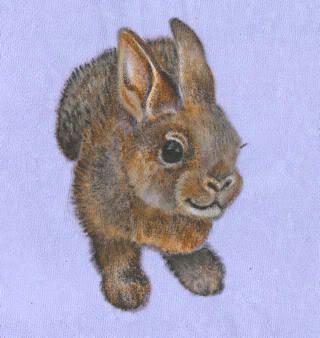 Hand-painted design, diaper-cut/quilt block/t-shirt, your pick! Bunny