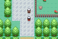 [PokeCommunity.com] Pokemon Ecru