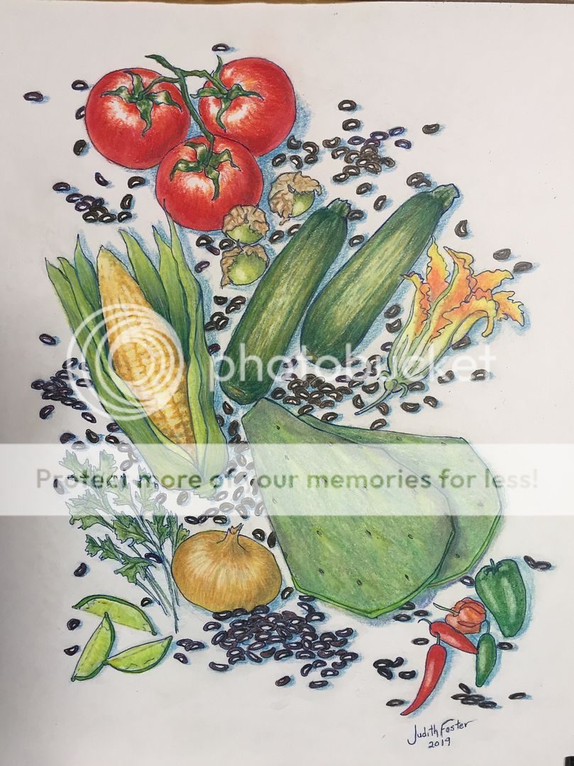 One of my color pencil drawings of vegetables - Democratic Underground