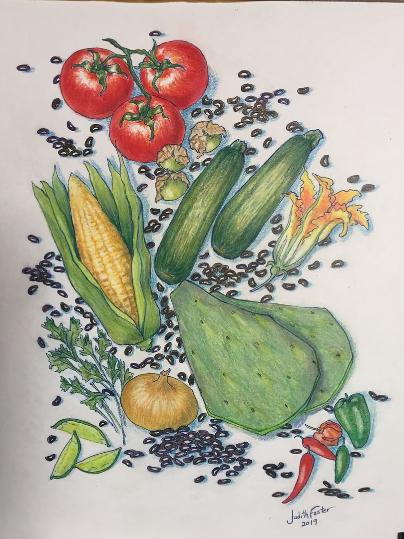 One of my color pencil drawings of vegetables - Democratic Underground