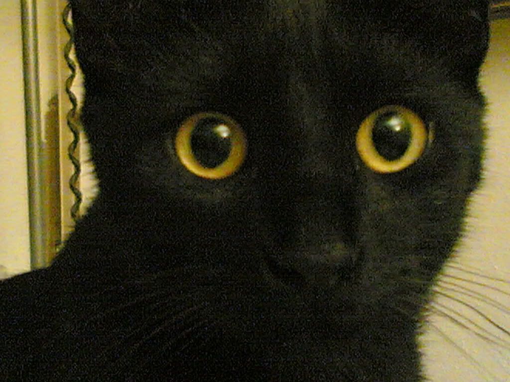 02102006003.jpg picture by Ery-chan_album