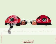 ANNE GEDDES Pictures, Images and Photos