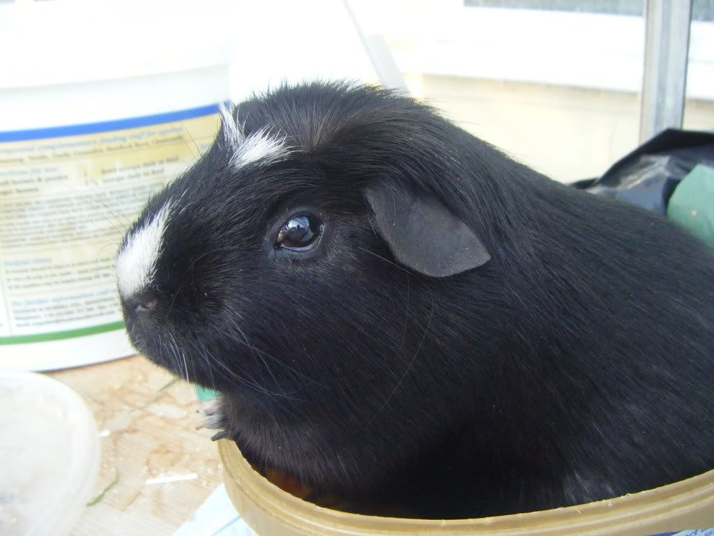 DSCF0264.jpg